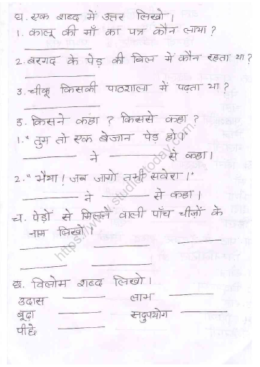 CBSE Class 2 Hindi Practice Worksheet (3) 2