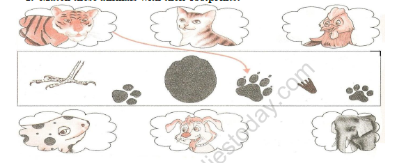 Footprints Class 2 Mathematics Practice Worksheets PDF