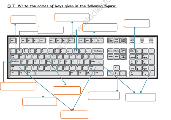 CBSE Class 3 Computer Practice Worksheet (11) - With Answers