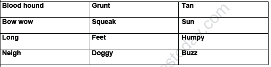 CBSE Class 3 English Practice Worksheets (120) - Vocabulary