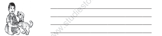 CBSE Class 3 English Practice Worksheets (27)-Nina & the Baby Sparrows 2