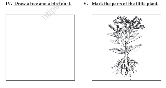 CBSE Class 3 English Practice Worksheets (29)-Little By Little 5