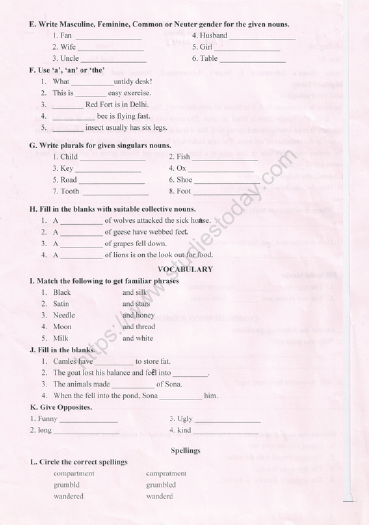 CBSE Class 3 English Practice Worksheets (56) - Revision 2