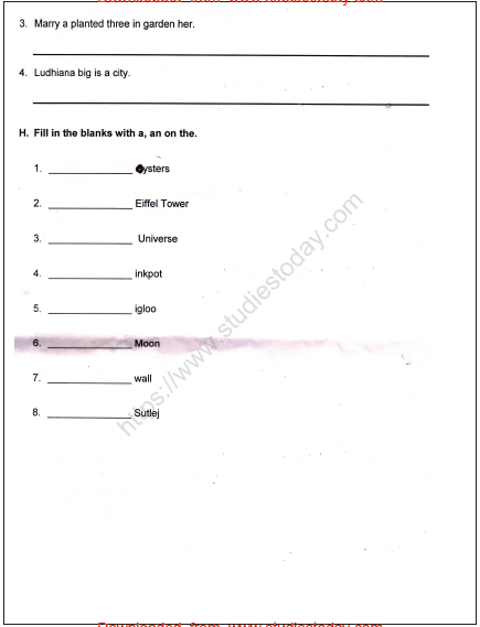 CBSE Class 3 English Practice Worksheets (57) - Revision 3