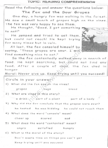 CBSE Class 3 English Practice Worksheets (71) - Reading Comprehension