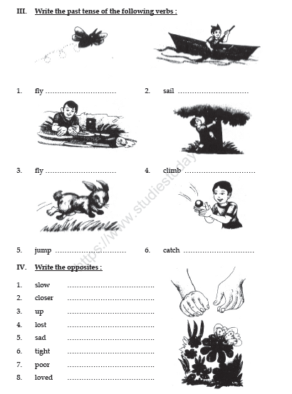Butterfly essay in english for class 3 image