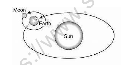 CBSE Class 3 Science Worksheet E