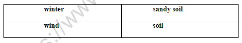 CBSE Class 3 Science Worksheet L