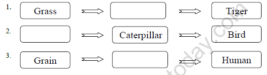 CBSE Class 3 Science Worksheet Q 1