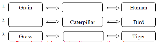 CBSE Class 3 Science Worksheet R 1