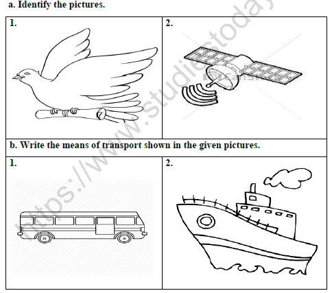 CBSE Class 3 Social Studies Worksheet Set B