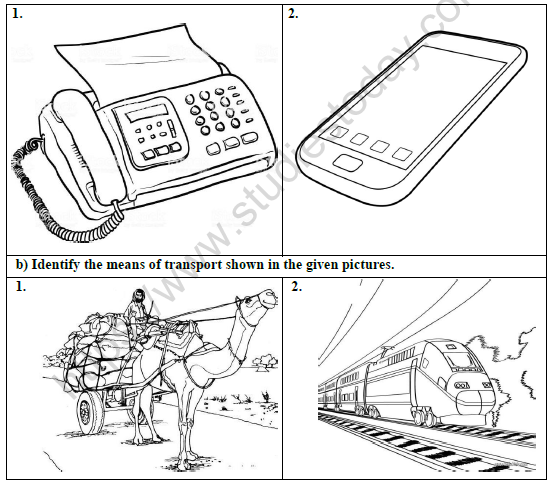 CBSE Class 3 Social Studies Worksheet Set D