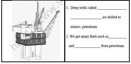 CBSE Class 3 Social Studies Worksheet Set K