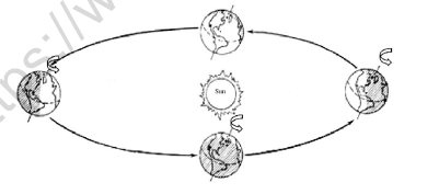 CBSE Class 4 Science Worksheet Set G 2