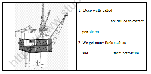 CBSE Class 4 Social Studies Worksheet Set A 1