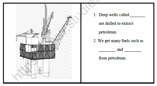 CBSE Class 4 Social Studies Worksheet Set B