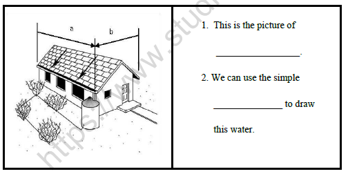 CBSE Class 4 Social Studies Worksheet Set D