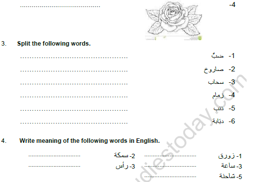 CBSE Class 5 Arabic Worksheet Set C 2