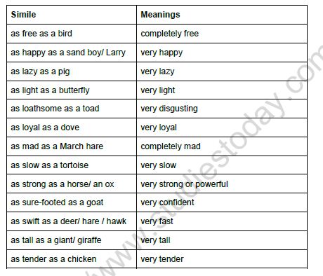 CBSE Class 5 English Homephones And Similes Worksheet 2