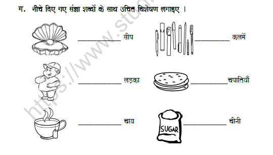 CBSE Class 5 Hindi Adjective Worksheet Set B 4