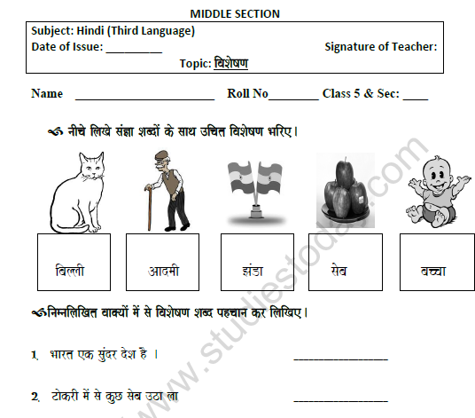 CBSE Class 5 Hindi Adjective Worksheet Set C