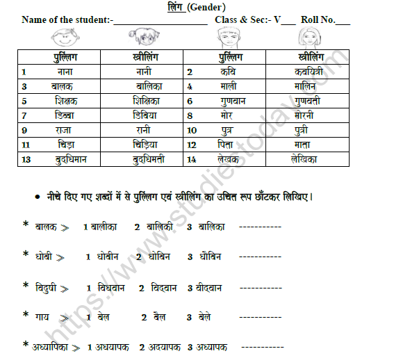 CBSE Class 5 Hindi Gender Worksheet Set A 1