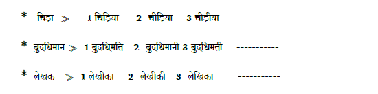 CBSE Class 5 Hindi Gender Worksheet Set A 2