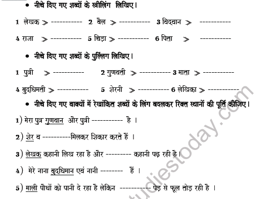 CBSE Class 5 Hindi Gender Worksheet Set A 3