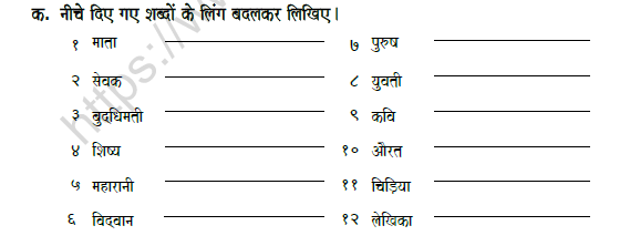 CBSE Class 5 Hindi Gender Worksheet Set B 2