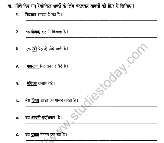 CBSE Class 5 Hindi Gender Worksheet Set B 3