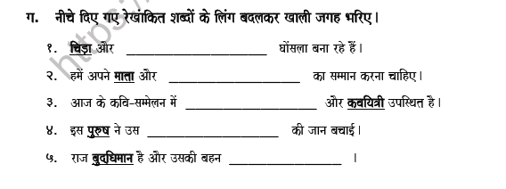 CBSE Class 5 Hindi Gender Worksheet Set B 4