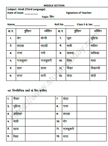 CBSE Class 5 Hindi Gender Worksheet Set C 1