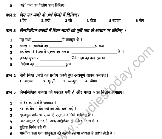CBSE Class 5 Hindi Question Paper Set P Solved 2