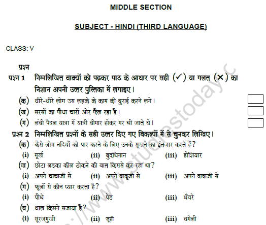 CBSE Class 5 Hindi Question Paper Set T 1