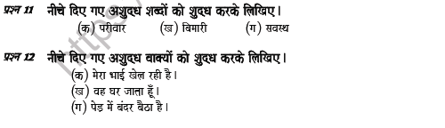 CBSE Class 5 Hindi Question Paper Set W Solved 3