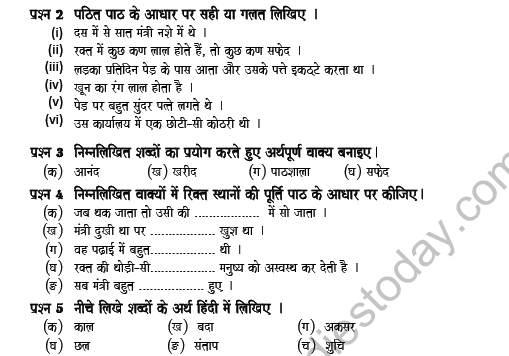 CBSE Class 5 Hindi Question Paper Set X Solved 2