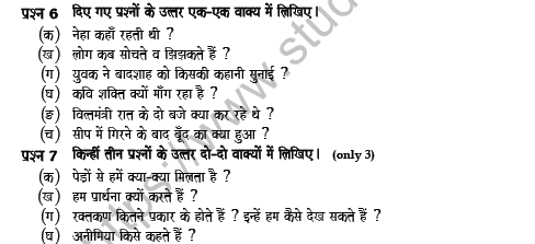 CBSE Class 5 Hindi Question Paper Set X Solved 3