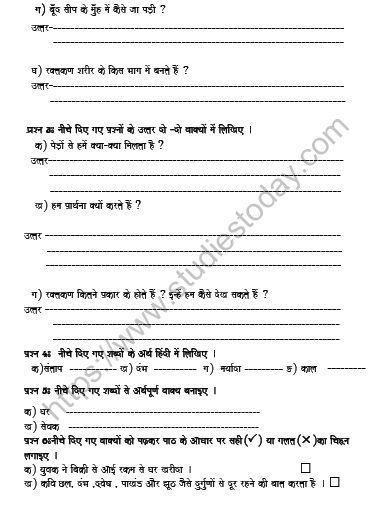CBSE Class 5 Hindi Revision Worksheet Set B 2