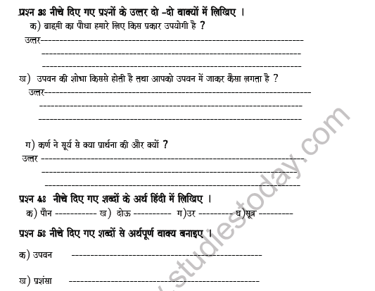 CBSE Class 5 Hindi Revision Worksheet Set D 2