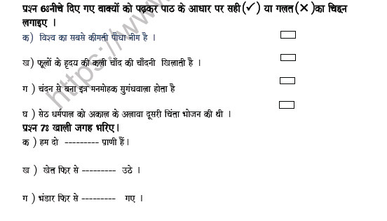 CBSE Class 5 Hindi Revision Worksheet Set D 3