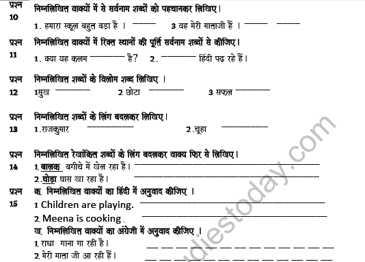 CBSE Class 5 Hindi Revision Worksheet Set F 3