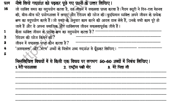 CBSE Class 5 Hindi Revision Worksheet Set F 4