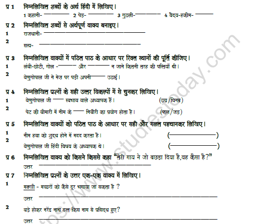 CBSE Class 5 Hindi Revision Worksheet Set J 1