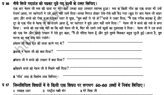 CBSE Class 5 Hindi Revision Worksheet Set J 4