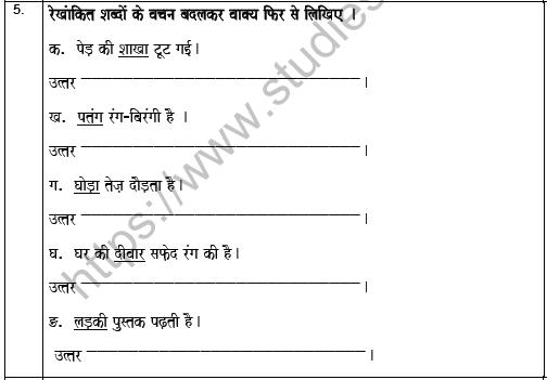 CBSE Class 5 Hindi Worksheet Set G Solved 3