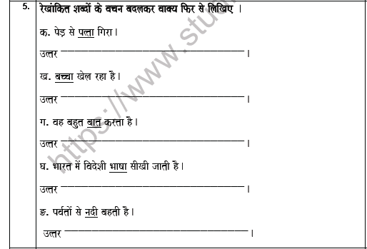 CBSE Class 5 Hindi Worksheet Set H Solved 3