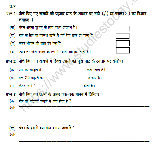 CBSE Class 5 Hindi Worksheet Set K Solved 1