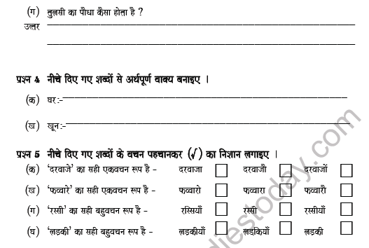 CBSE Class 5 Hindi Worksheet Set K Solved 2