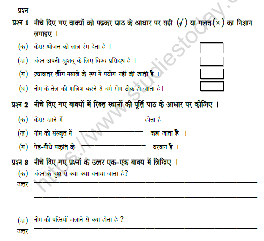 CBSE Class 5 Hindi Worksheet Set L Solved 1