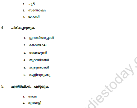 CBSE Class 5 Malayalam Question Paper Set B Solved 2